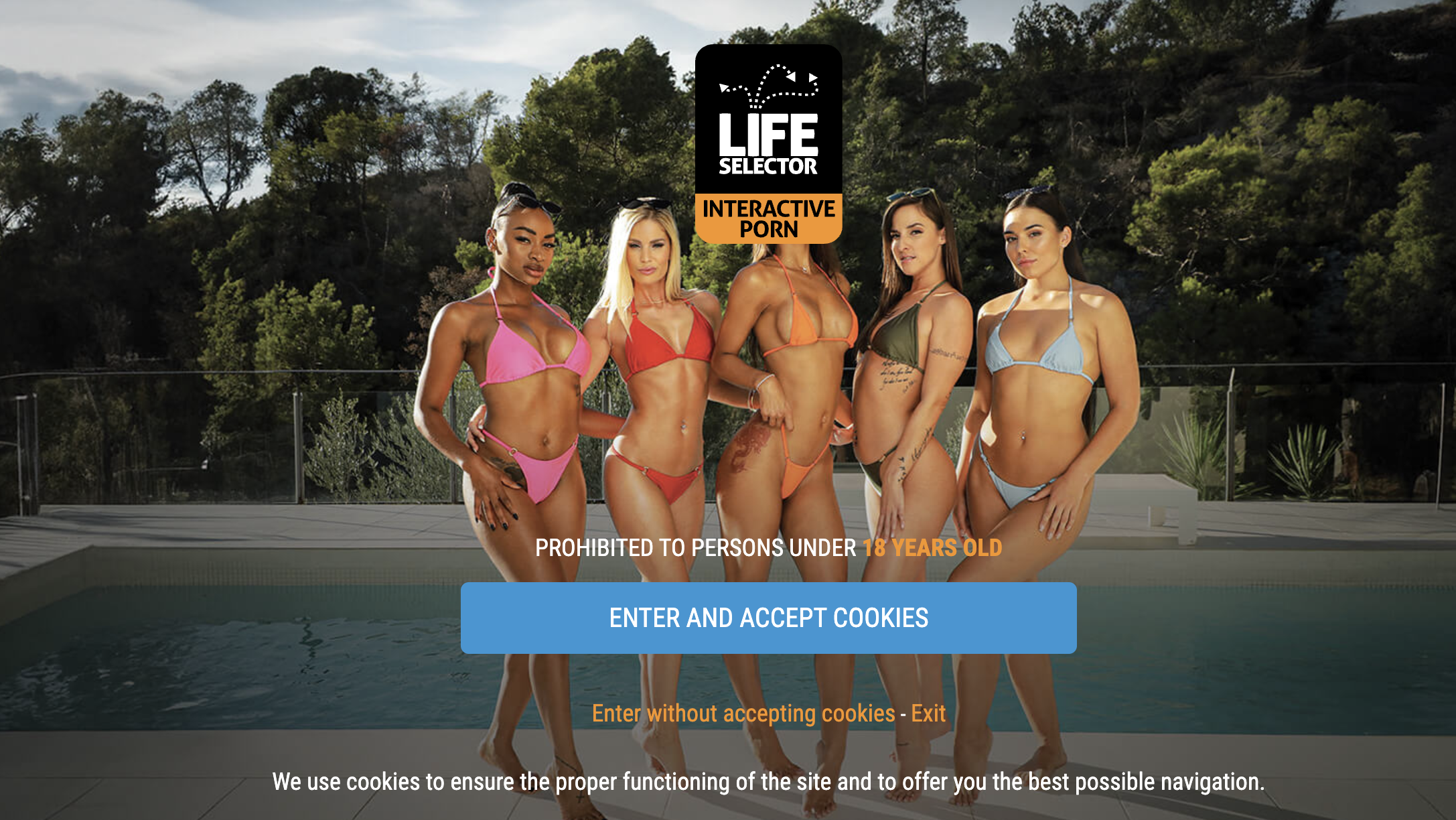 Lifeselector Lifeselector