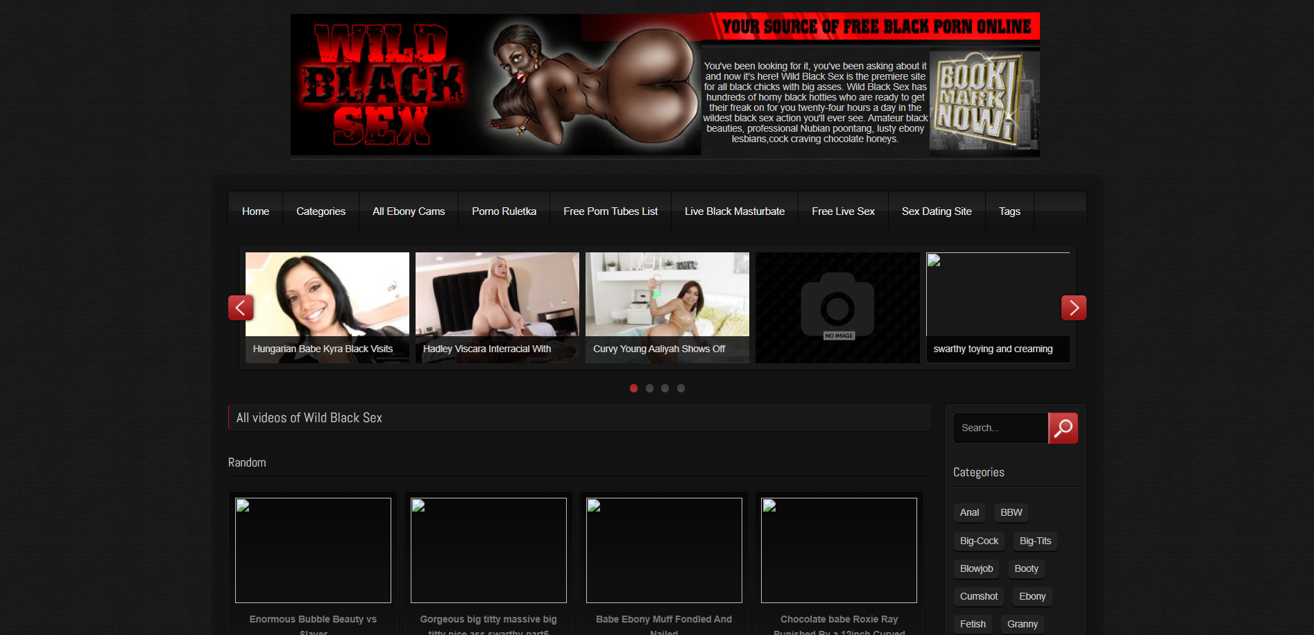 WildBlackSex.com WildBlackSex.com
